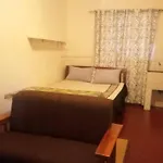 Quiet Comfortable Studio With Mature Garden View.