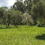 Boma Park Outdoor Event Space