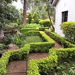 Homely-Stay Guesthouse