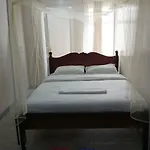 Maya Nest Lounge