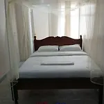 Maya Nest Lounge