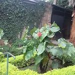 Missionary Sisters Precious Blood Guest House
