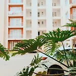 Racecourse Gardens Furnished Apartments