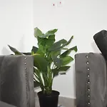 Rooftop Apartment In Kileleshwa
