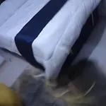 Modern Furnished Studio Apartment Trm Roysambu