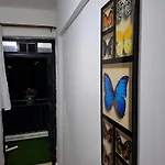 The Cozy House