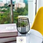 Executive Studio Apartment In Kilimani With Modern Luxury Facilities