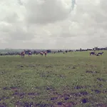 Rangelands Camp
