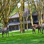 Lake Naivasha Simba Lodge