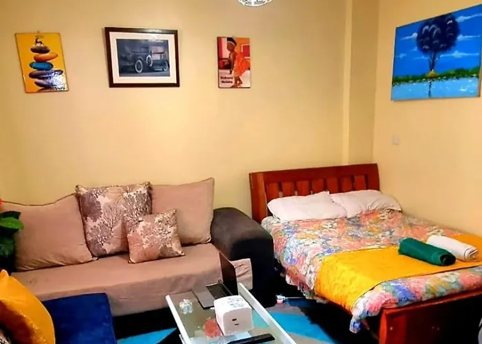 Spacious Studio Apartment, Bedsitter Along Trm Drive