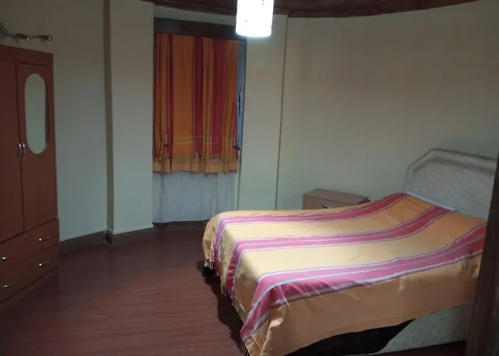 Homely-Stay Guesthouse