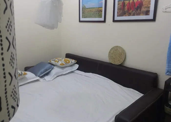 Madini Furnished Apartment 1 Near Jkia Sgr