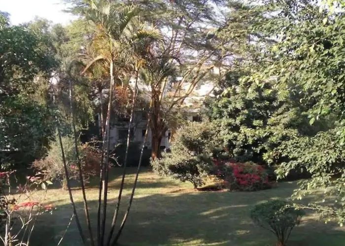 Comfortable Botanical Studio