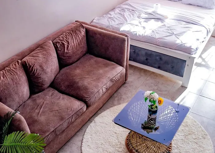 Executive Moyo Suites Studio Apartment