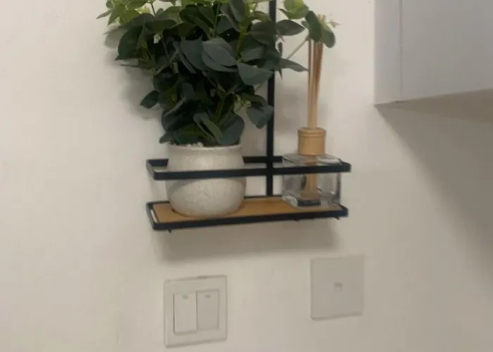Fendi Dignity Homes
