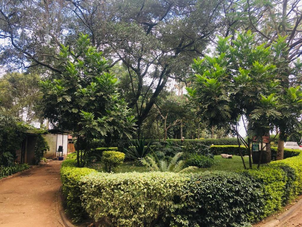 Idyllic Mistley House And Gardens Off Kamiti Road. Nairobi