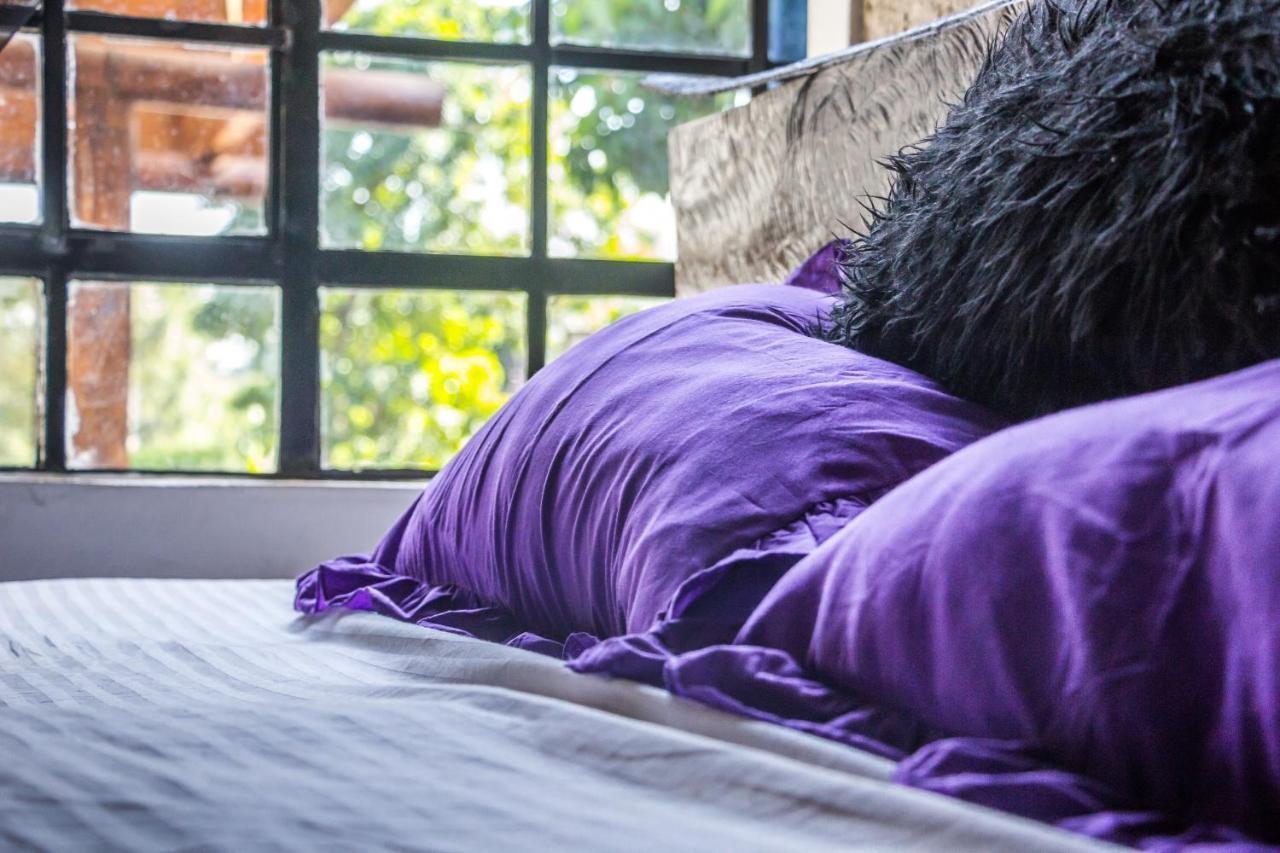 Runda Lofts Guest house Nairobi
