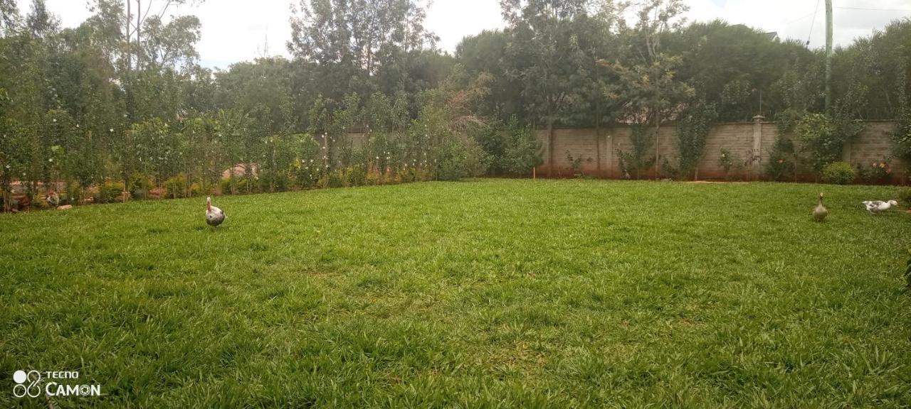Homestay Tedangie Gardens Nairobi