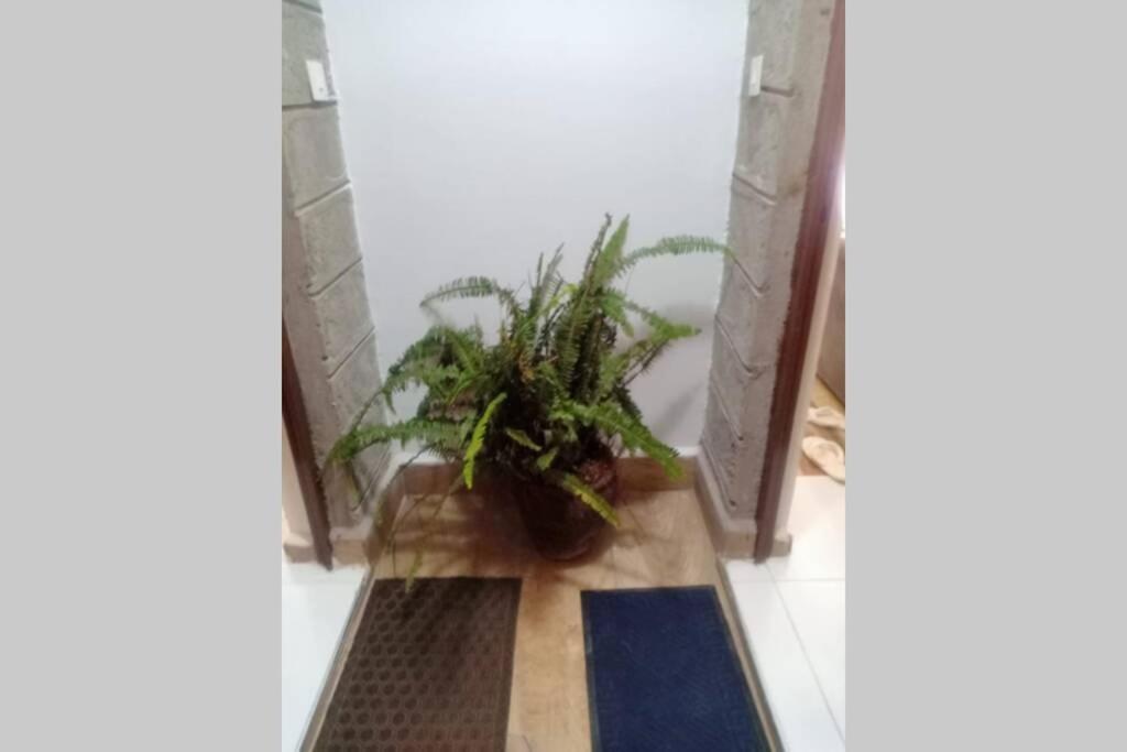Apartment Wawa @ The Residency Thika Road Nairobi