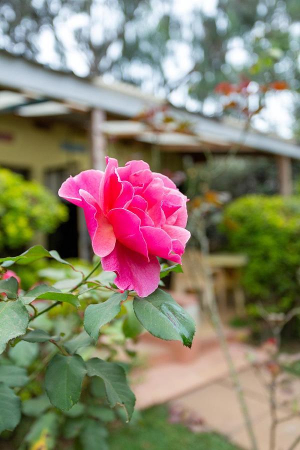 East Of Eden Guest house Nairobi