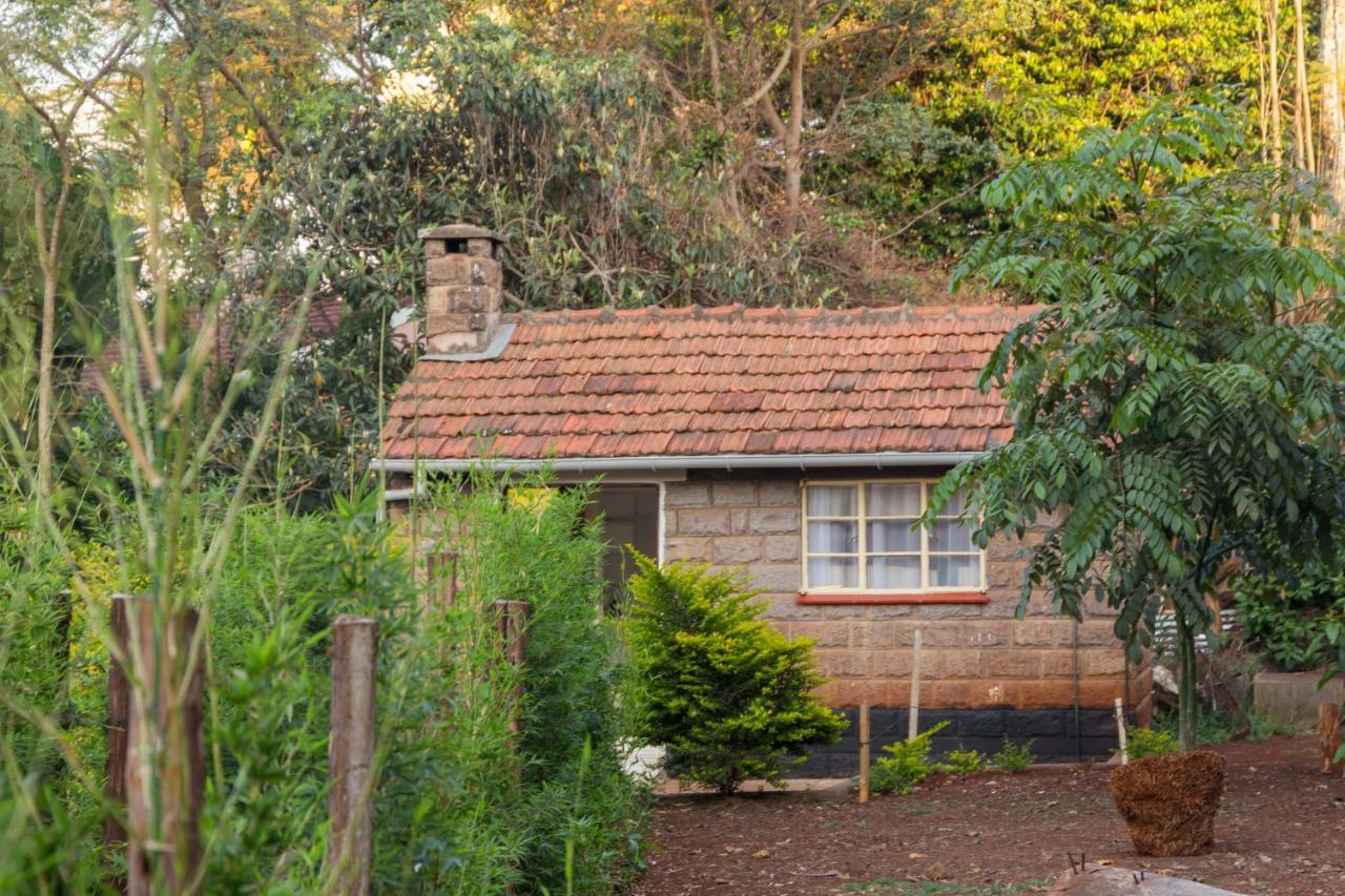 Celio Jardine Lavington Guest house Nairobi
