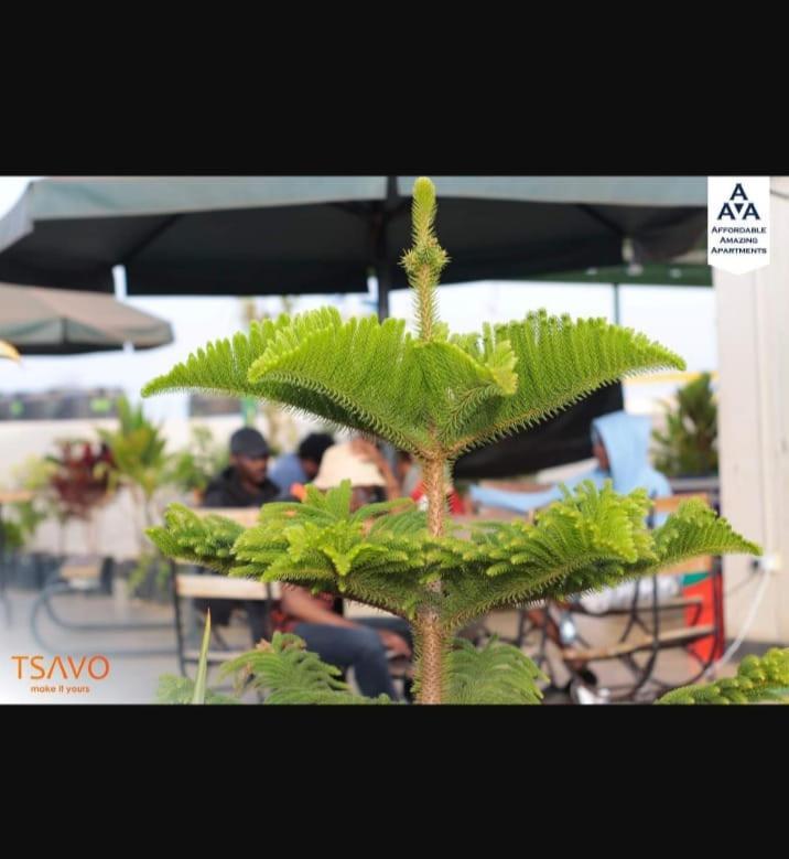 Bel Afriq Triad - Free Transport From Airport For Pre Payment Bookings