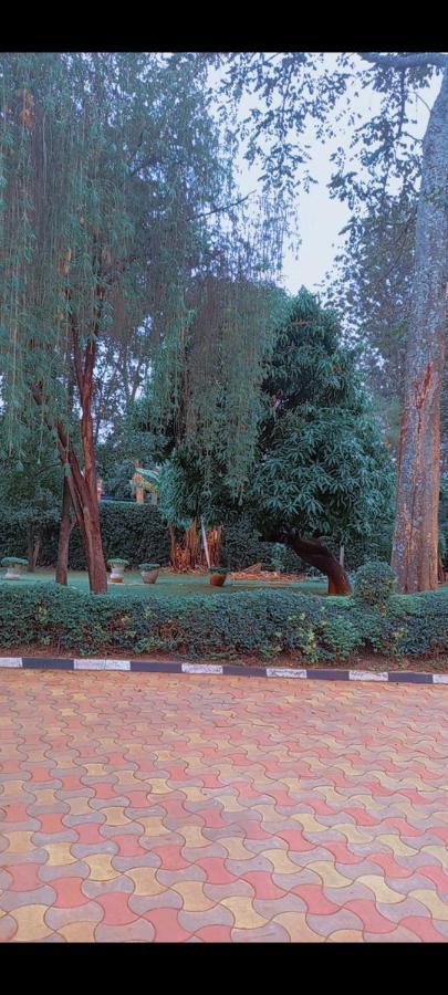 Kathy's Place In Runda * Nairobi