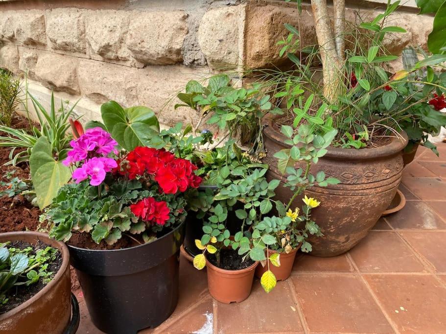 Gorgeous Well Equipped Modern In Loresho Apartment *