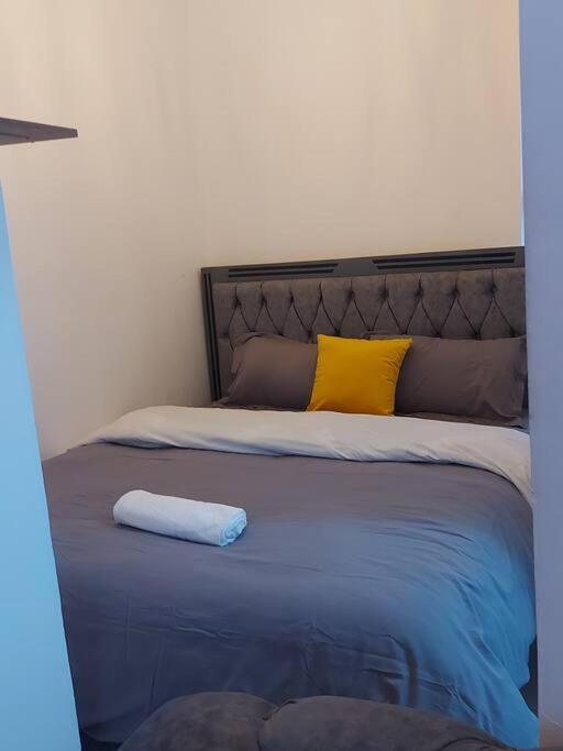 Apartment Beta