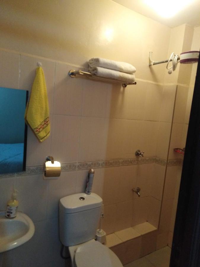 Apartment Homely Furnished - Near Jkia Airport And Cbd, South B, *