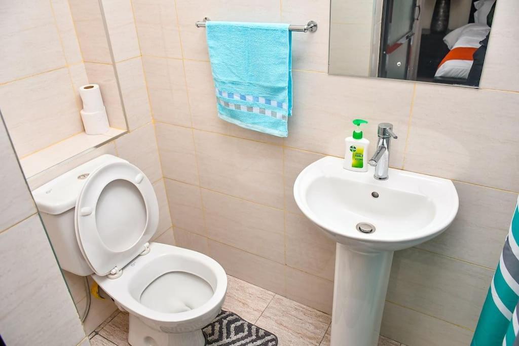 Apartment Alisons Place Lovely Furnished Close To Jkia And Sgr