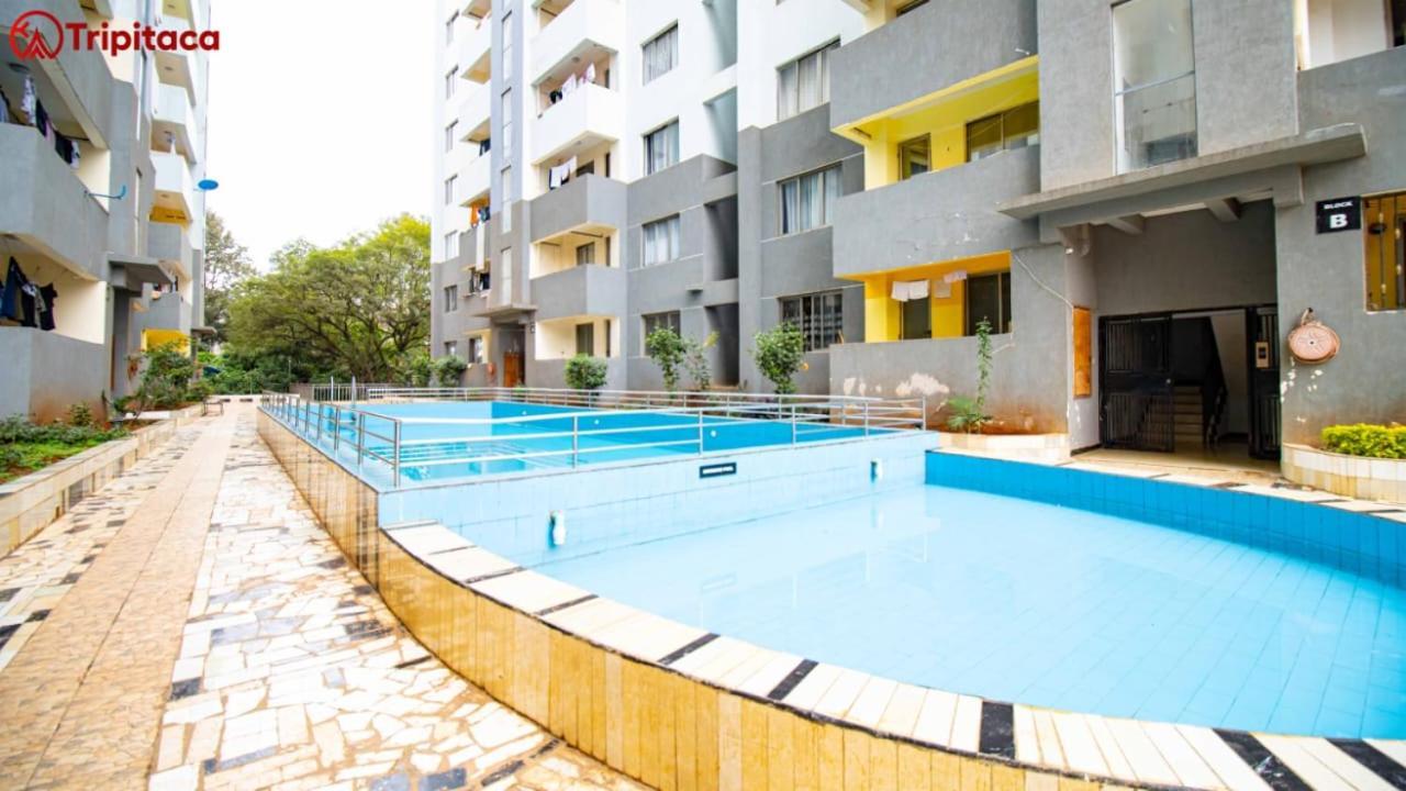 Apartment Lux Spring Gardens