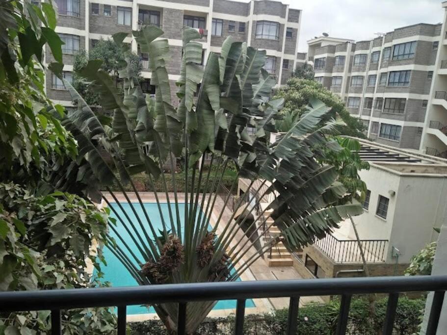 Madini Furnished 1 Near Jkia Sgr Apartment