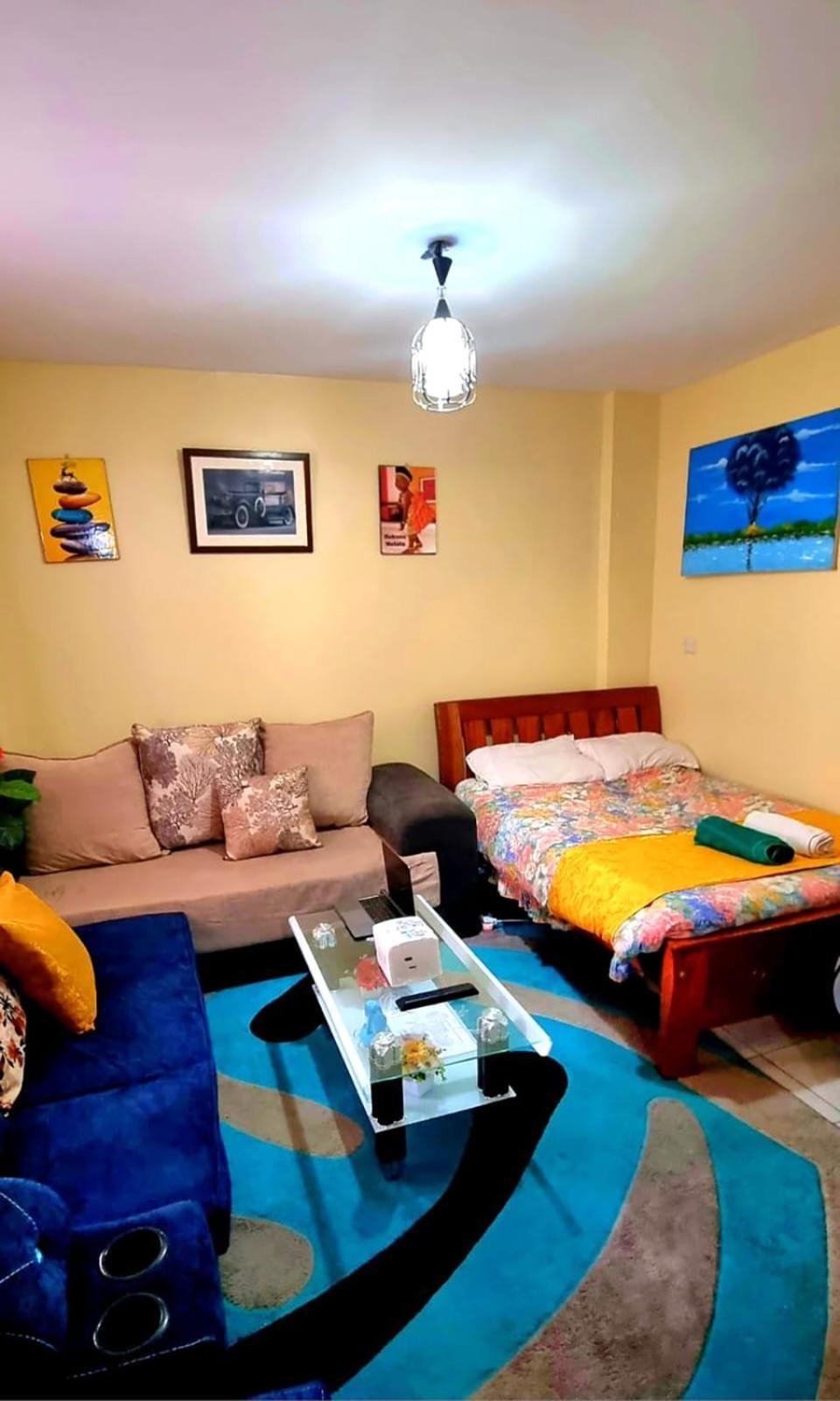 Spacious Studio Apartment, Bedsitter Along Trm Drive Apartment Nairobi