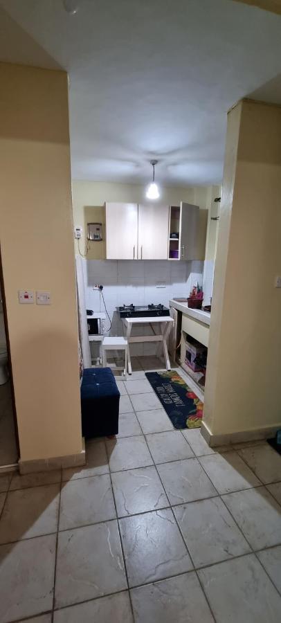 Apartment Spacious Studio Apartment, Bedsitter Along Trm Drive *