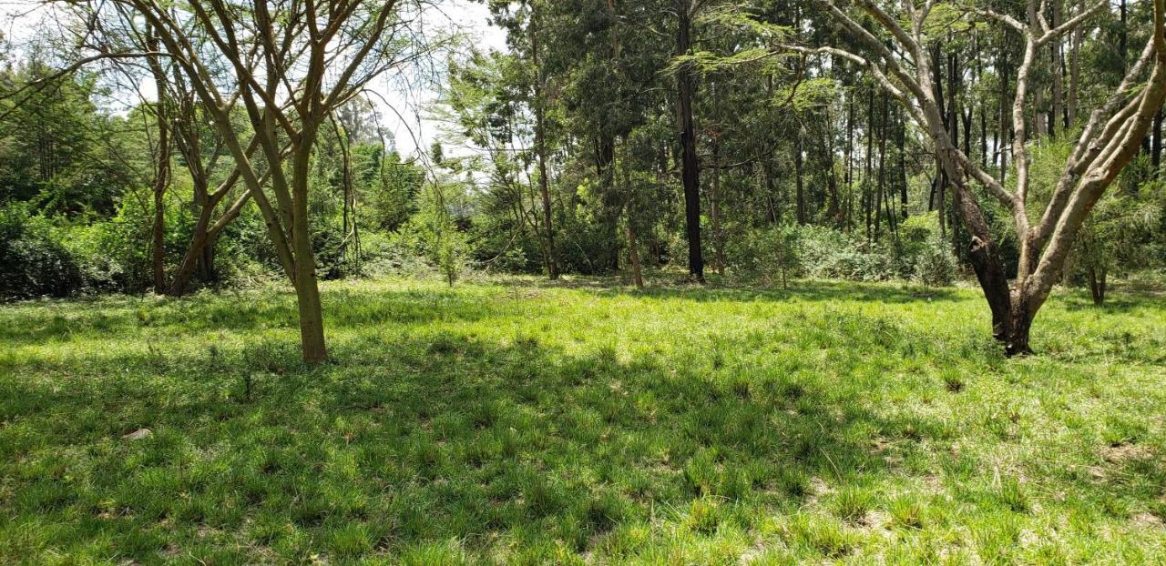 Campsite Boma Park Outdoor Event Space Nairobi