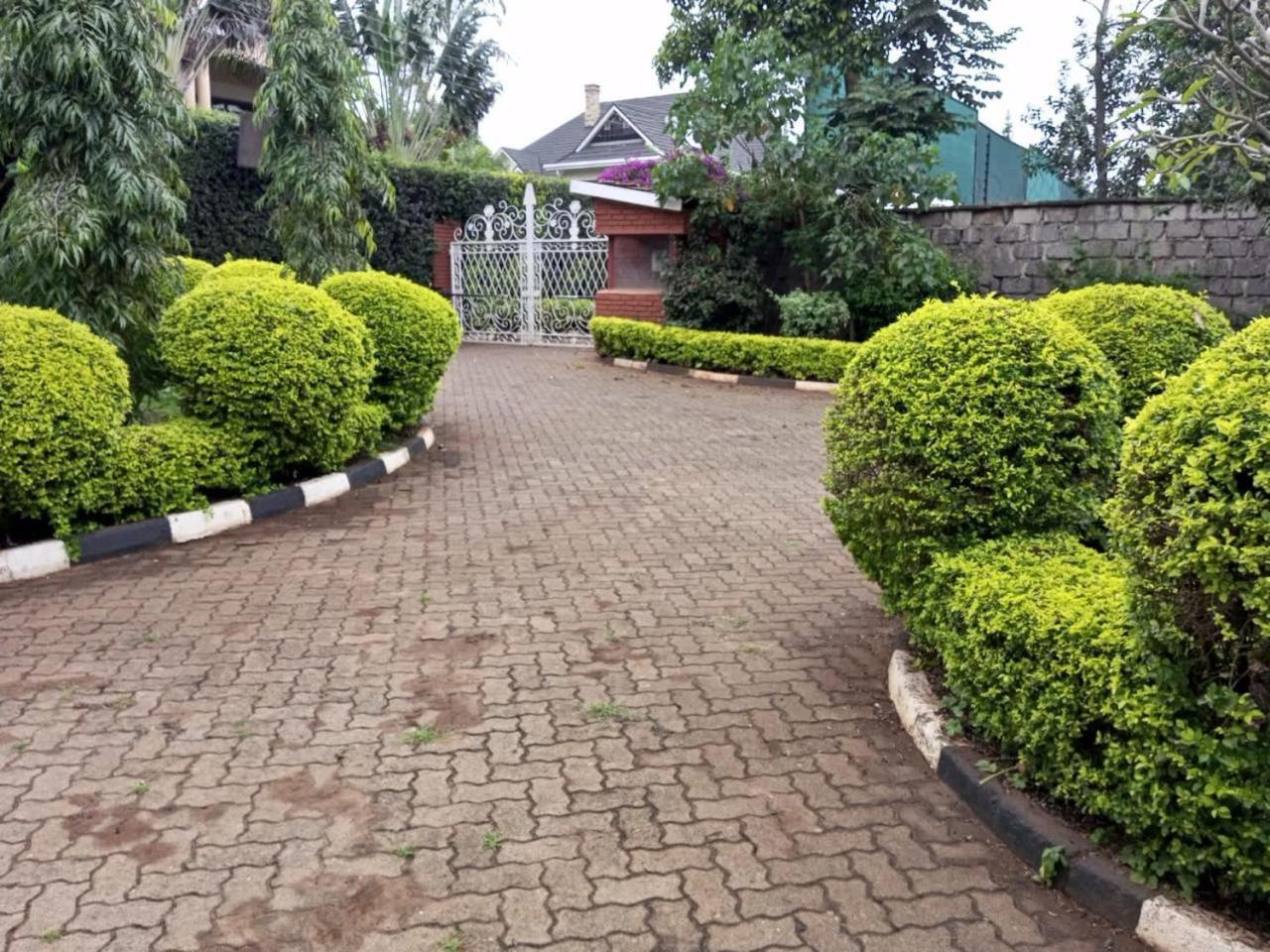 Homely-stay Guest house *