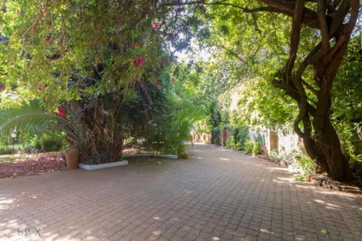 Lovely In Runda, Astar