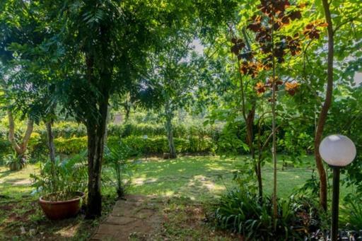 Lovely In Runda, Astar