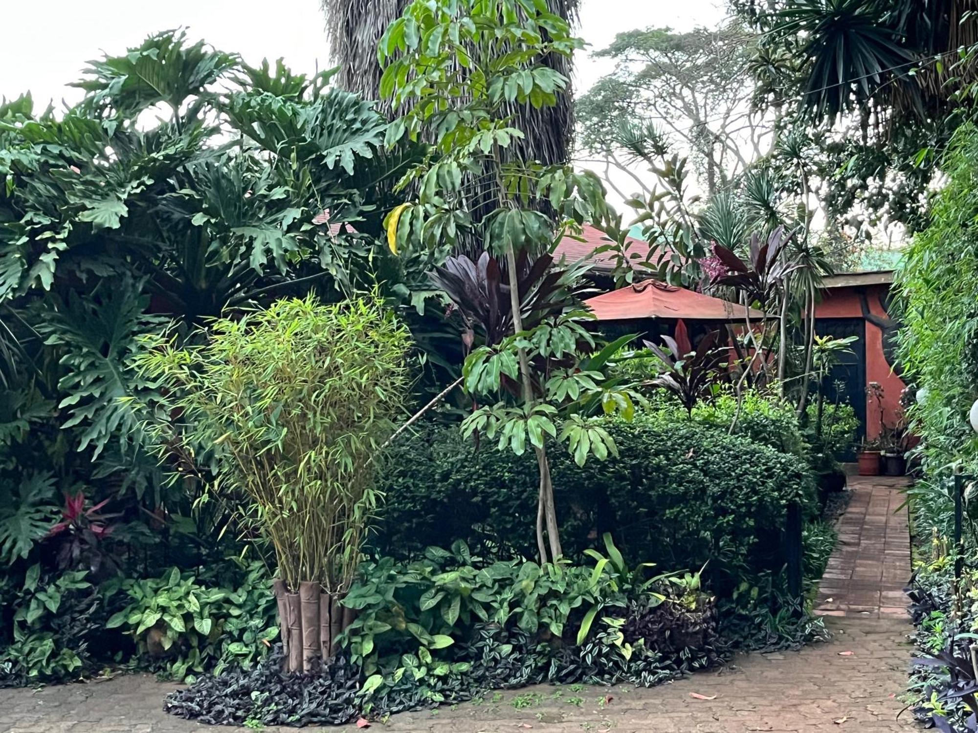Guest house Lake View Studios Nairobi