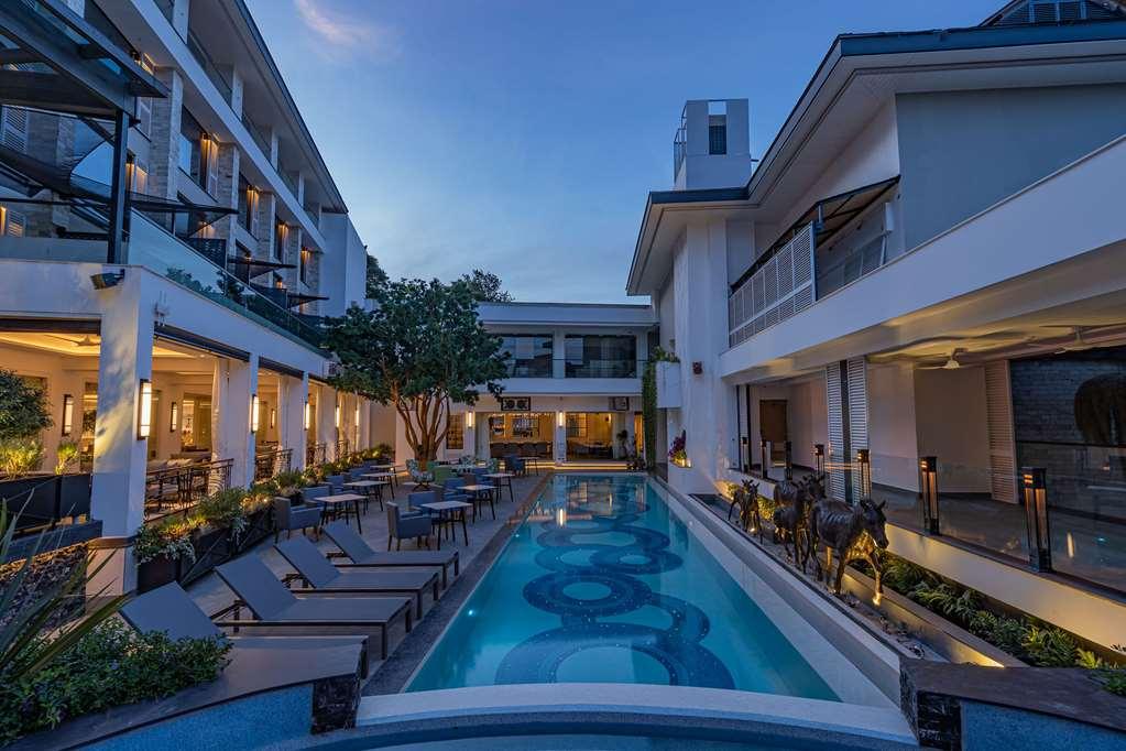 Kwetu Curio Collection By Hilton *