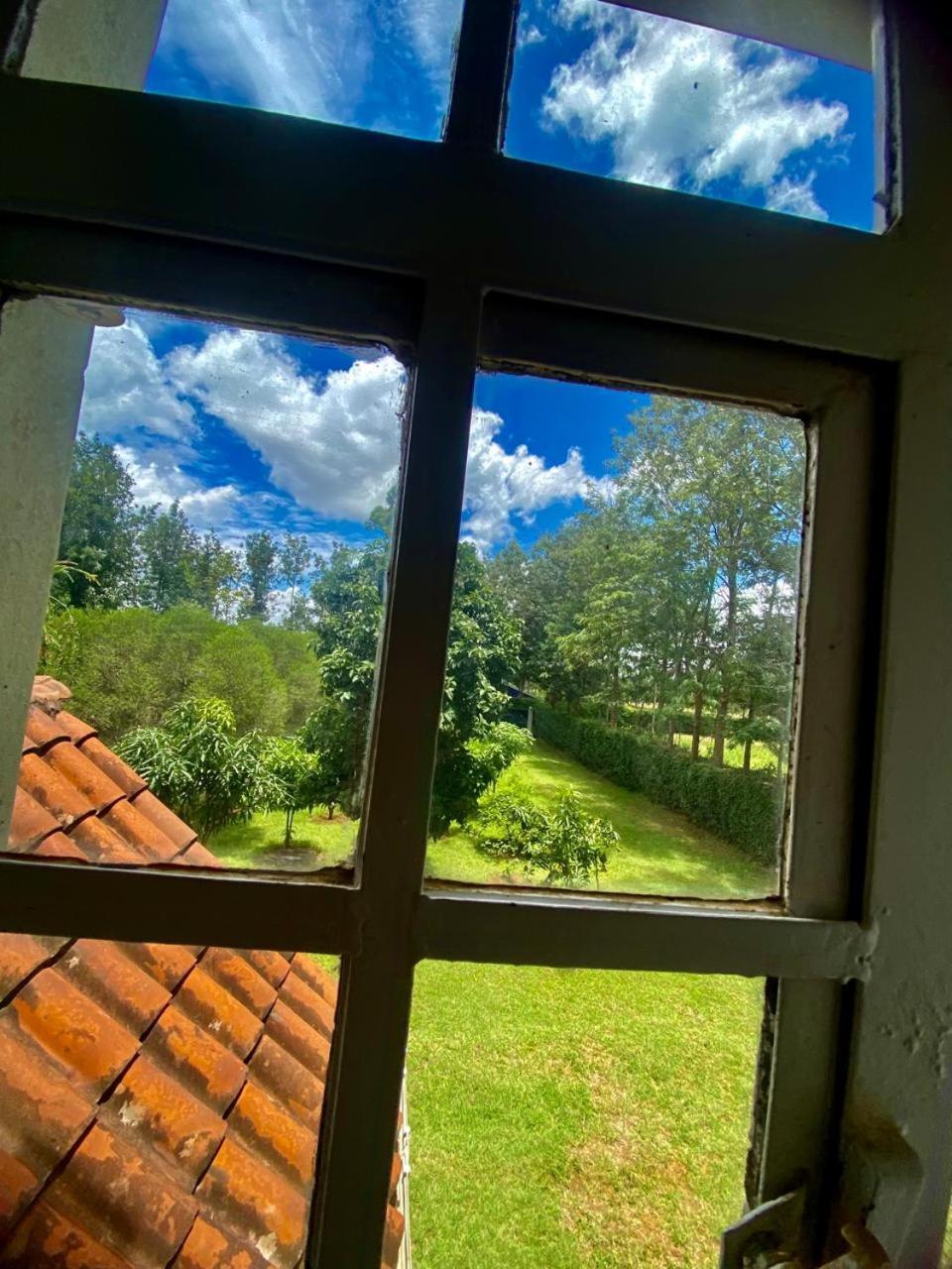 Sungura Nairobi