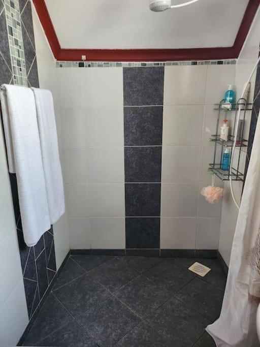 Fully Furnished 3br Master Ensuite Penthouse Apartamento *