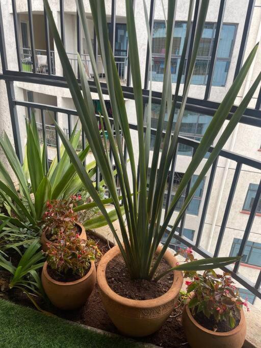 2 Bedroom, 2 Bathroom In Kilimani *