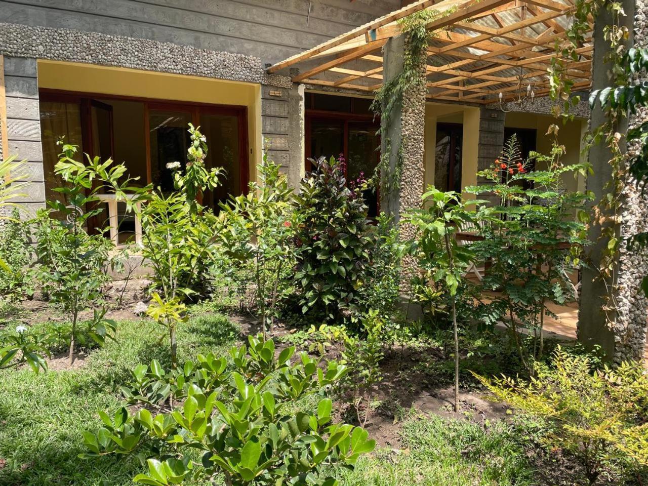 Chalet Nzuri House