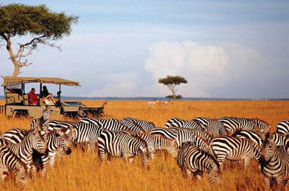 Lux Jkia Airport View * Nairobi