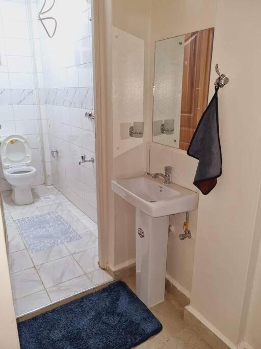 Executive 1-bedroom Along Thika Road, Ruiru *