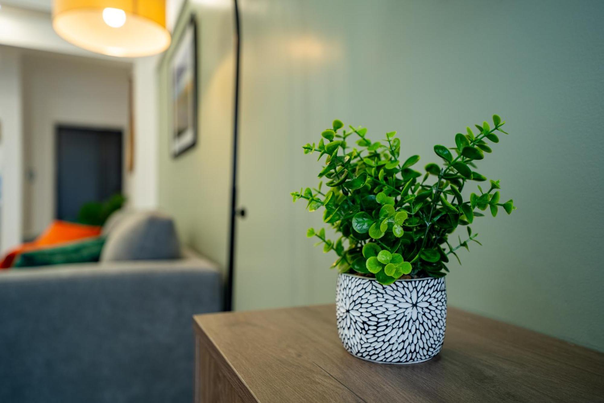Apartment Terra One - Luxe Escape