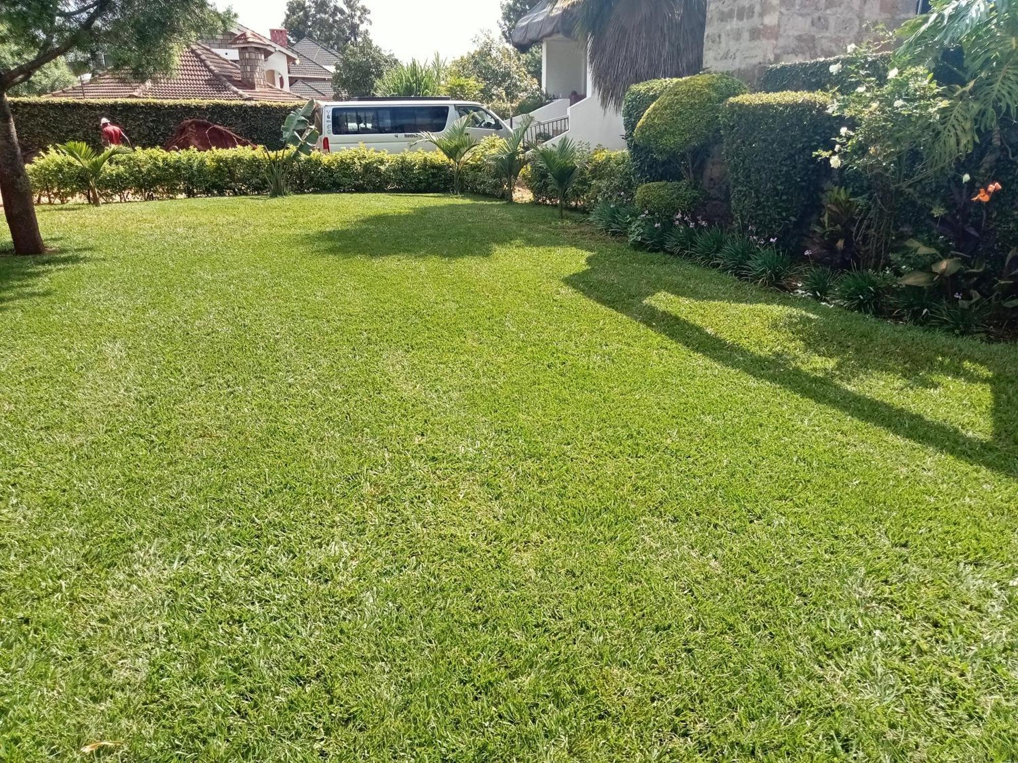 Evergreen Karen Nairobi