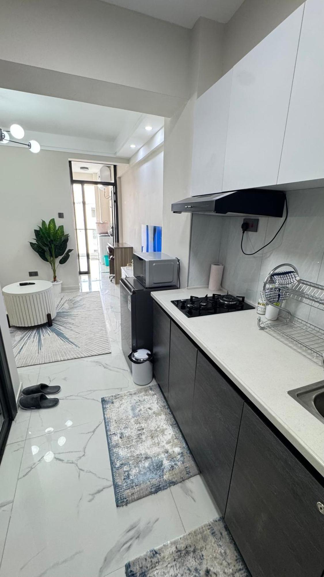 Modern Luxury 1br In Kilimani Wifi,netflix,free Packing Nairobi